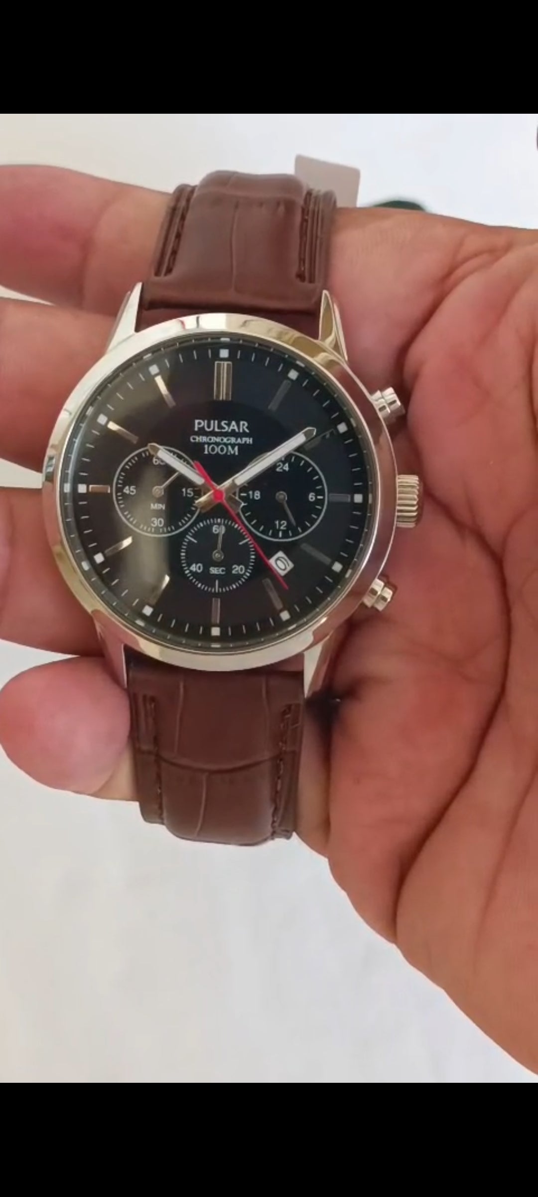 Pulsar Original Watch